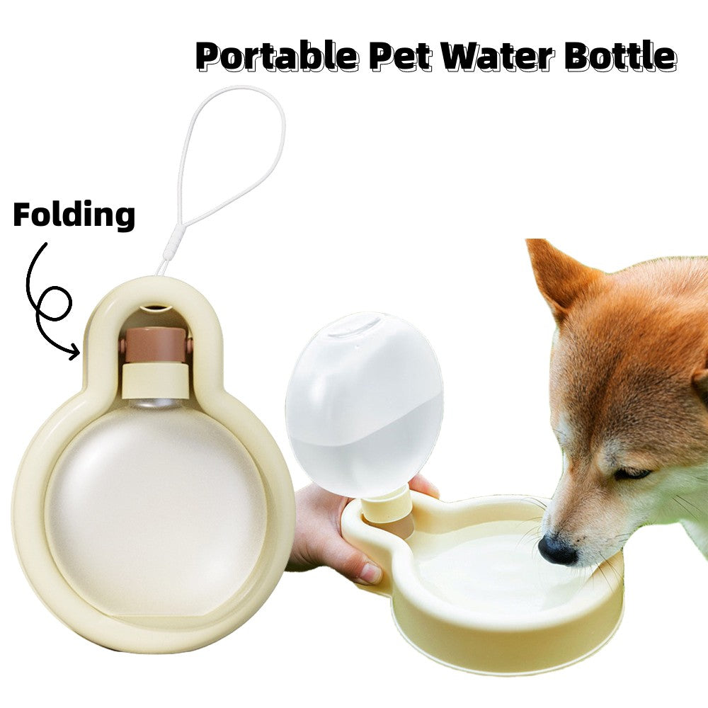 Explorer Travel Water Bottle