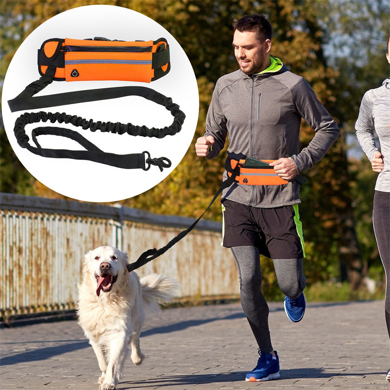 Adventure Belt Leash
