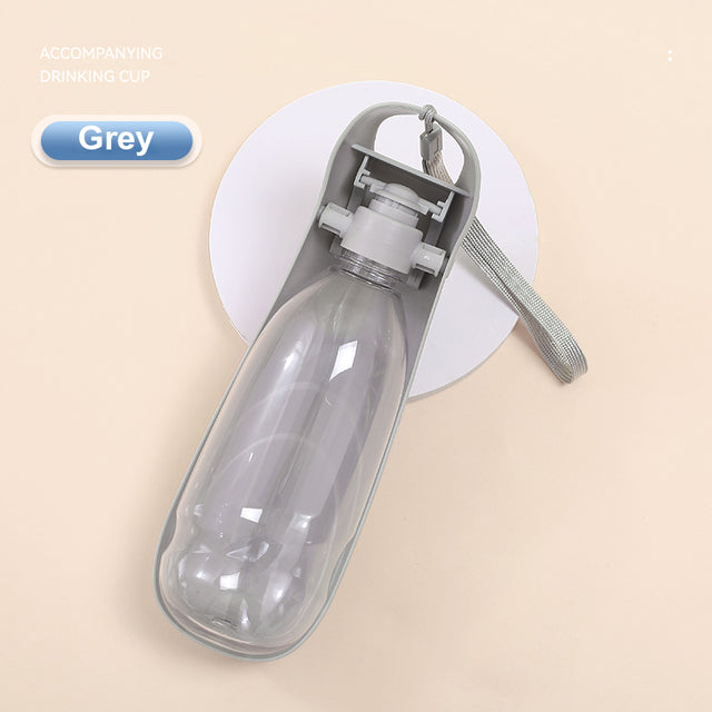 Midnight Paws™ TrailSip Portable Water Bottle