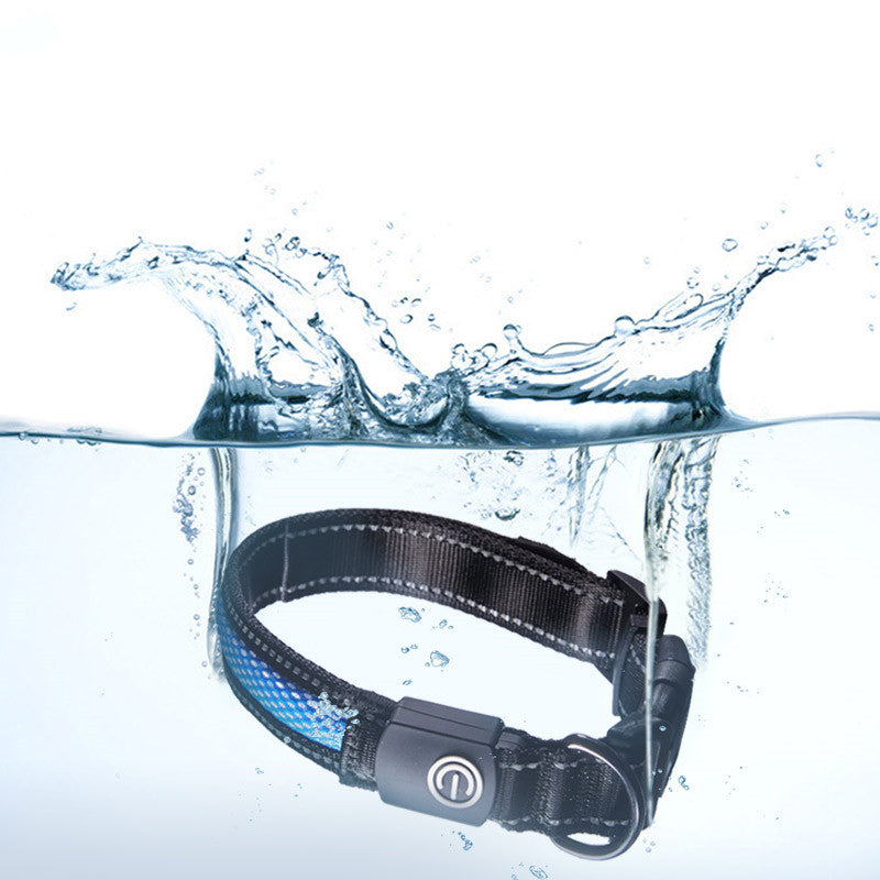 Midnight Glow LED Collar