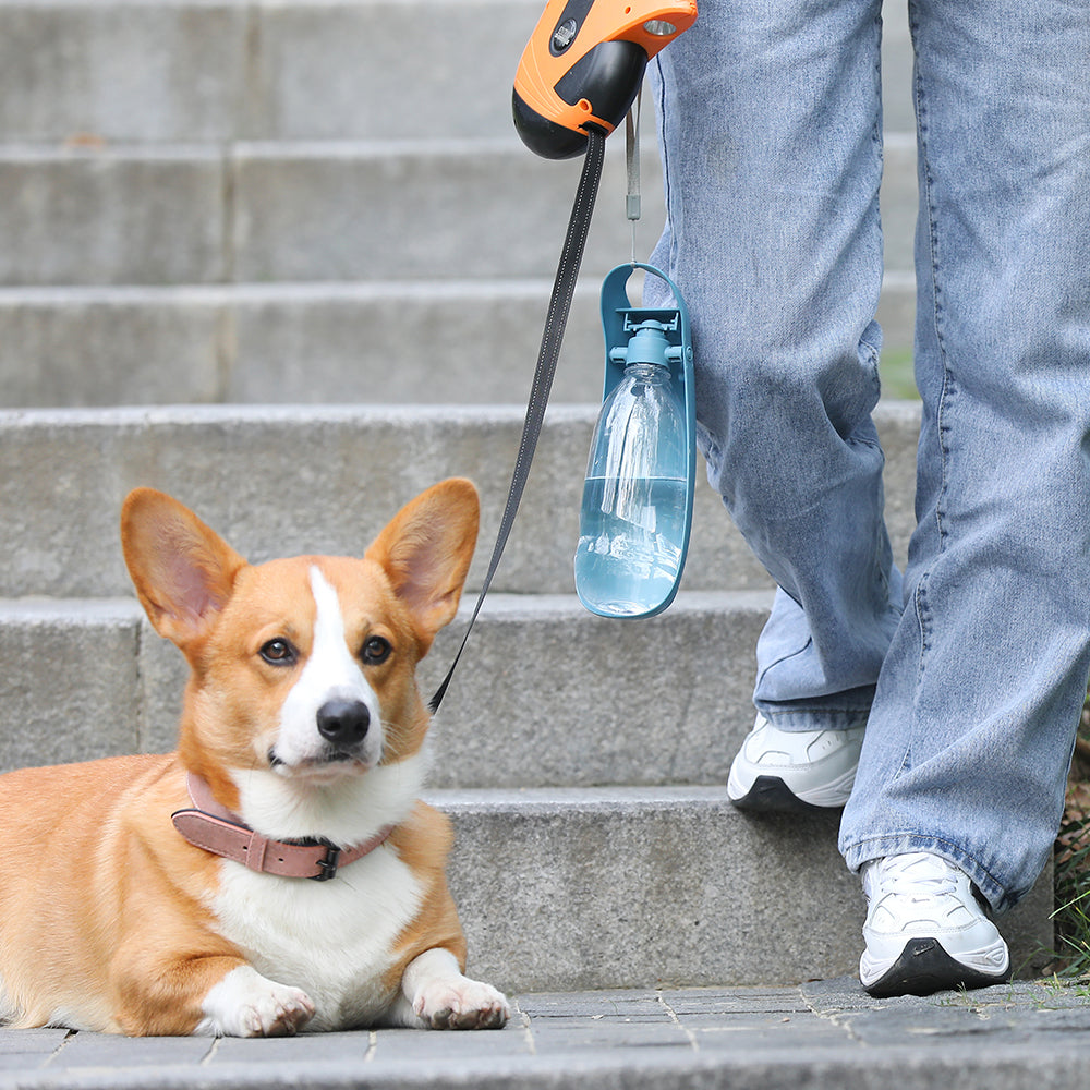 Midnight Paws™ TrailSip Portable Water Bottle
