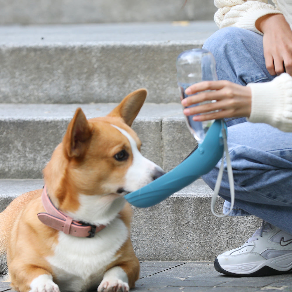 Midnight Paws™ TrailSip Portable Water Bottle