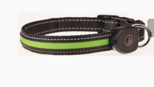 Midnight Glow LED Collar