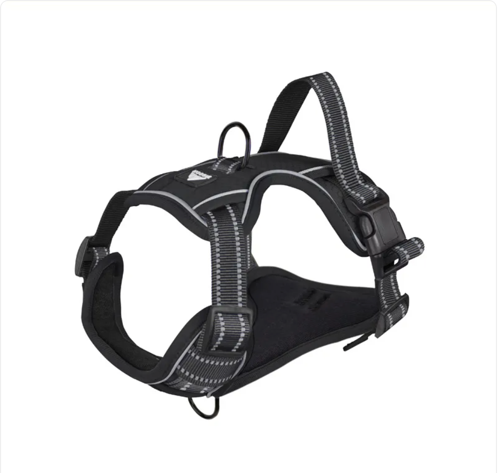 Midnight Paws™ Reflective Adventure Harness