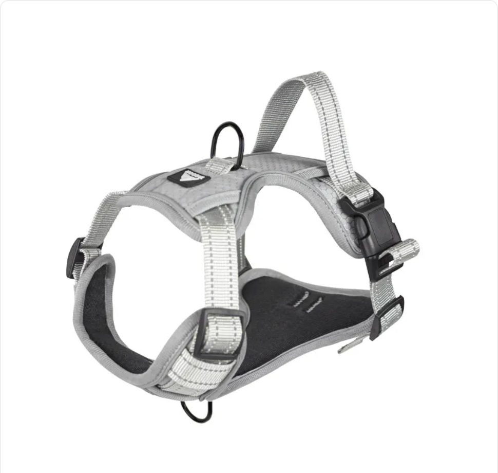 Midnight Paws™ Reflective Adventure Harness