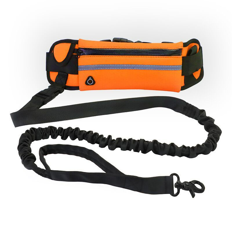 Adventure Belt Leash