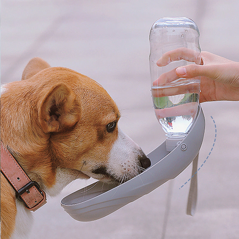 Midnight Paws™ TrailSip Portable Water Bottle