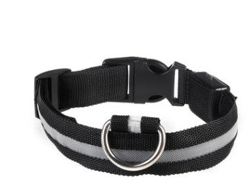 Midnight Glow™ Rechargeable LED Collar